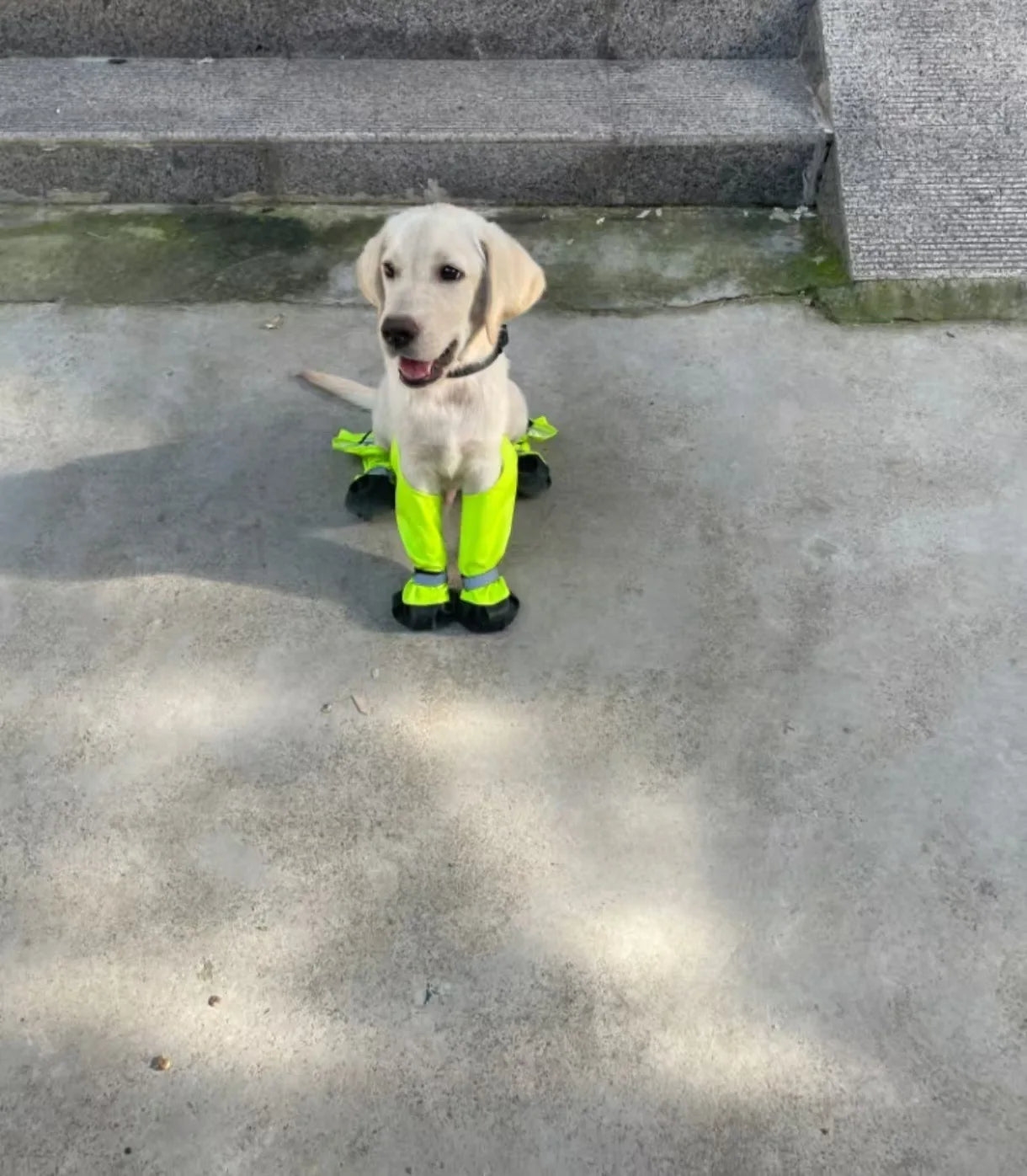 Outdoor Dog Boots Anti-Dirty Shoes Pet Waterproof All Seasons