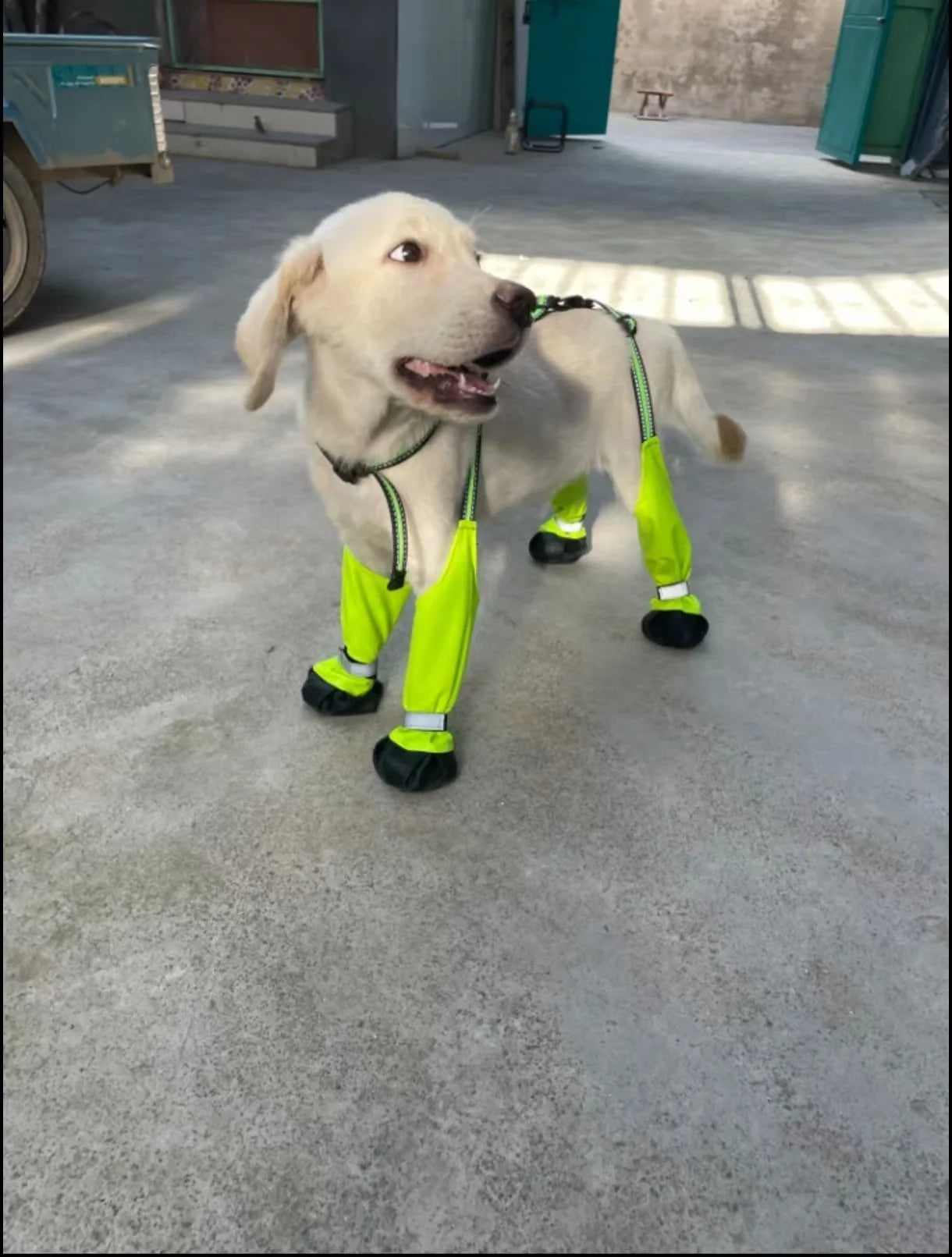 Outdoor Dog Boots Anti-Dirty Shoes Pet Waterproof All Seasons