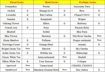 Aroma Diffuser Perfume Fragrance Oil Pure Scented Air Freshener for Scent Diffusers Namste 100ML Essential Oil Diffuser Natural