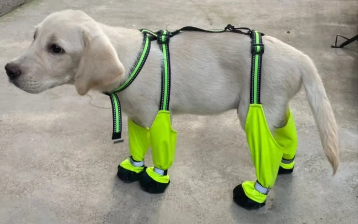 Outdoor Dog Boots Anti-Dirty Shoes Pet Waterproof All Seasons