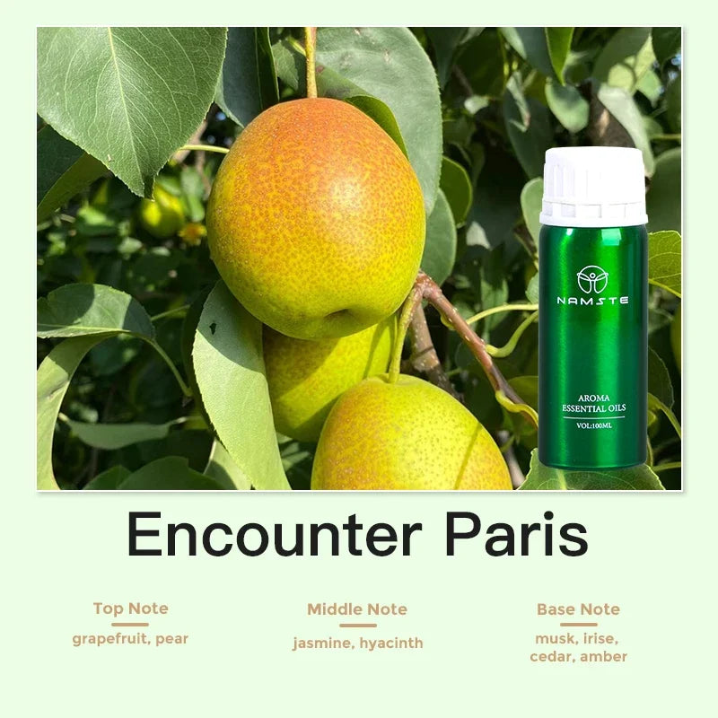 Aroma Diffuser Perfume Fragrance Oil Pure Scented Air Freshener for Scent Diffusers Namste 100ML Essential Oil Diffuser Natural