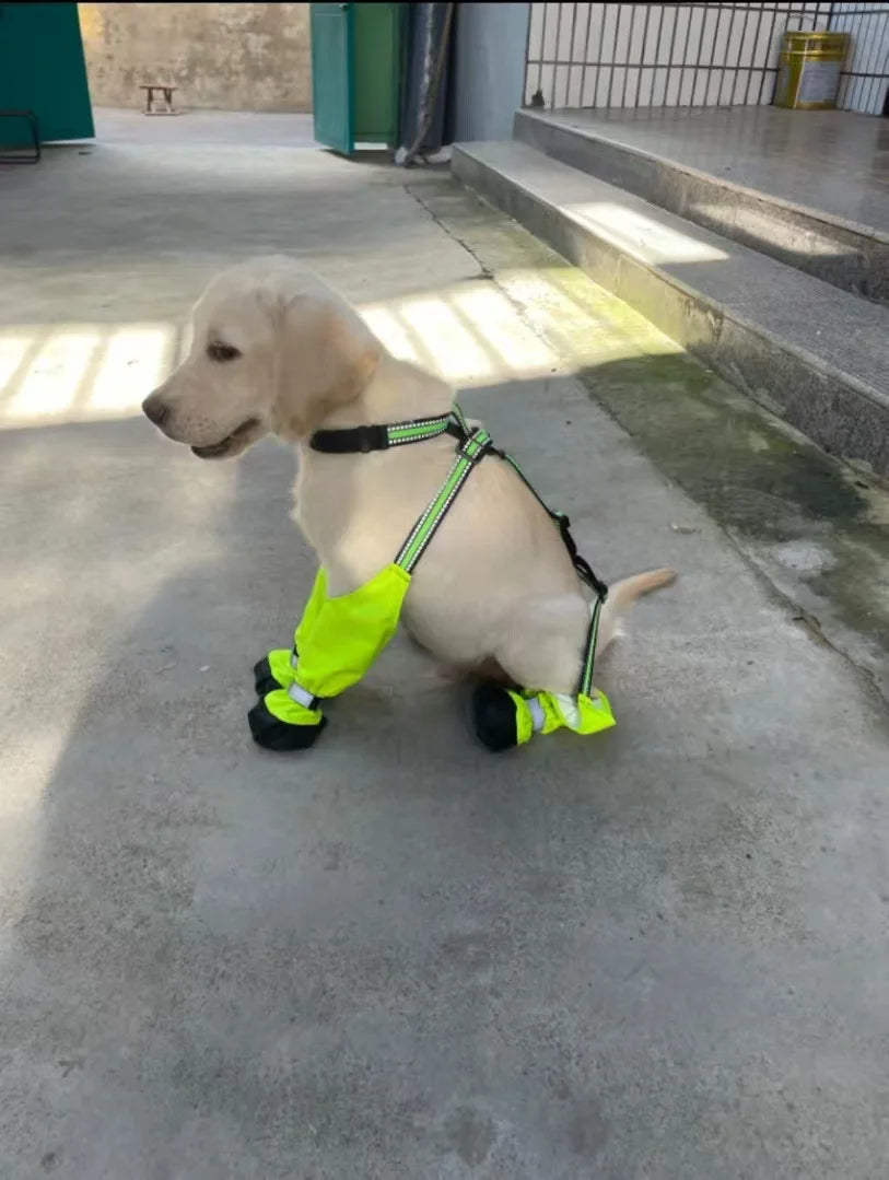 Outdoor Dog Boots Anti-Dirty Shoes Pet Waterproof All Seasons